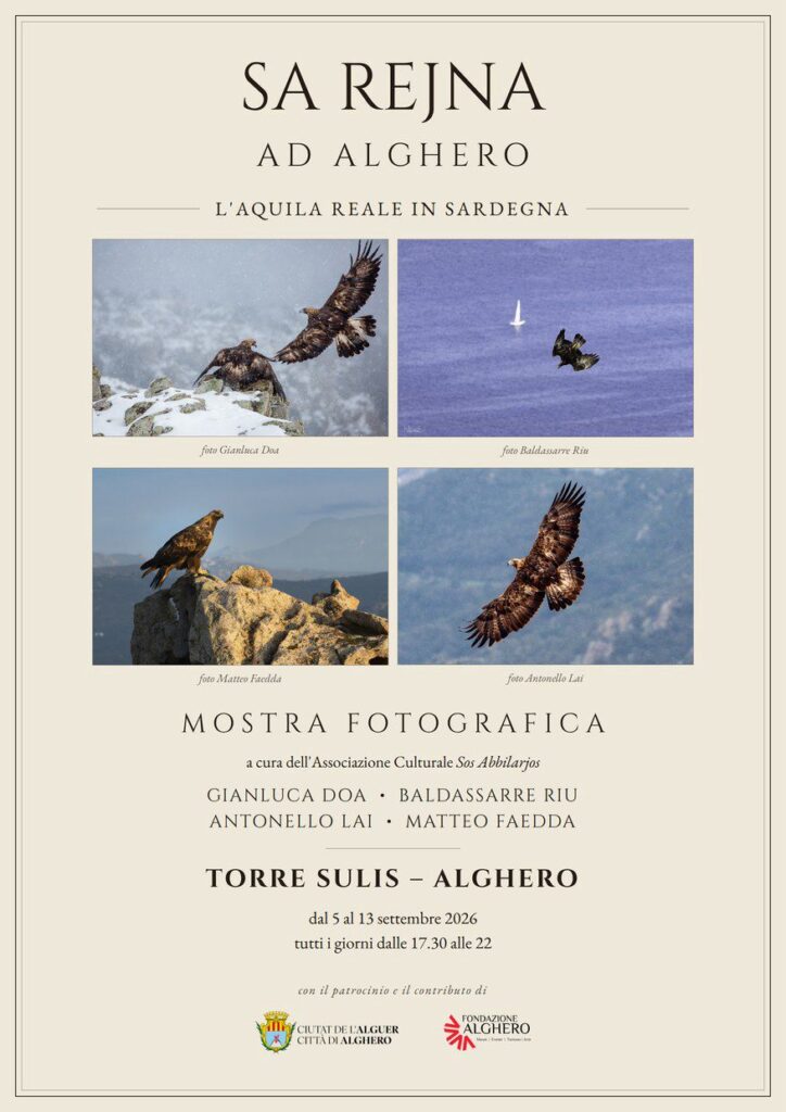 Sa Rejna, l’Aquila reale in Sardegna